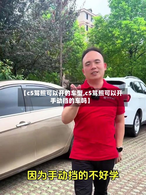 【c5驾照可以开的车型,c5驾照可以开手动挡的车吗】-第2张图片