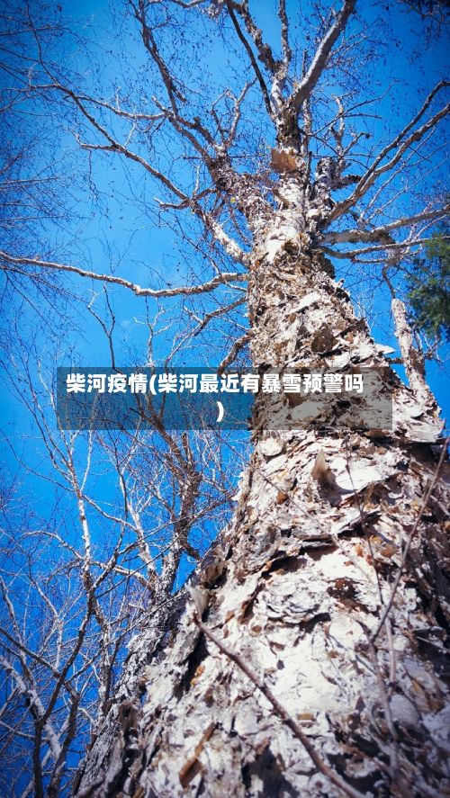 柴河疫情(柴河最近有暴雪预警吗)-第3张图片