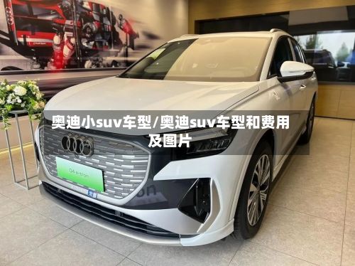 奥迪小suv车型/奥迪suv车型和费用及图片-第2张图片