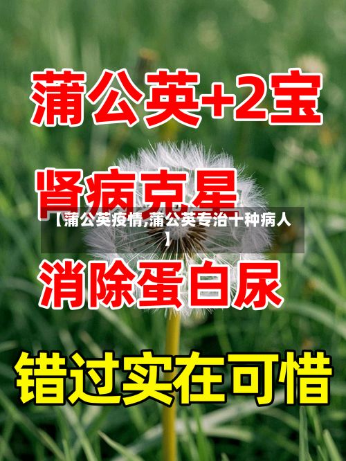 【蒲公英疫情,蒲公英专治十种病人】-第2张图片