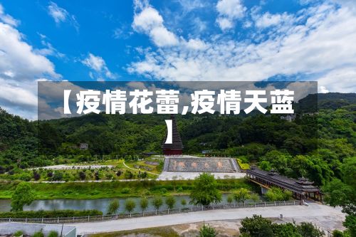 【疫情花蕾,疫情天蓝】-第3张图片