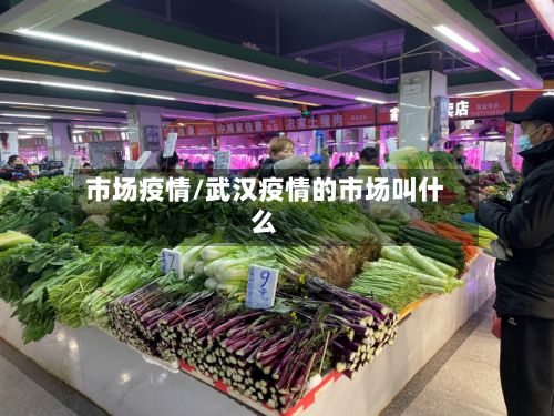 市场疫情/武汉疫情的市场叫什么-第2张图片