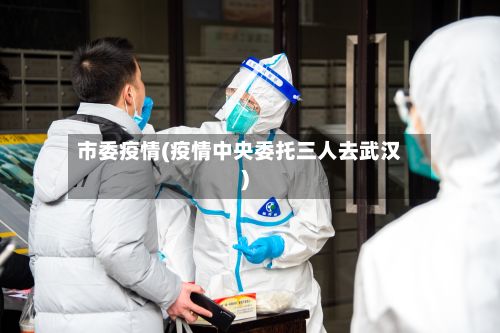 市委疫情(疫情中央委托三人去武汉)-第3张图片