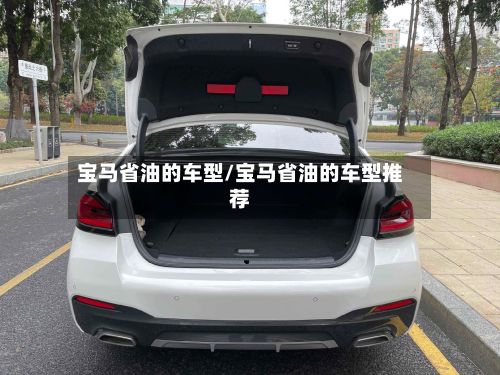 宝马省油的车型/宝马省油的车型推荐-第3张图片