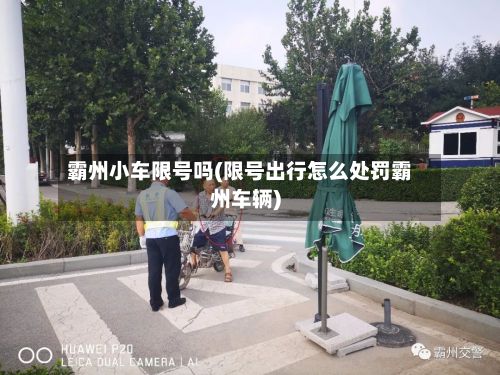 霸州小车限号吗(限号出行怎么处罚霸州车辆)-第2张图片