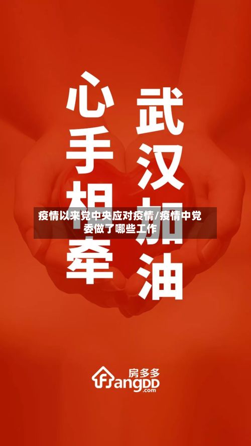 疫情以来党中央应对疫情/疫情中党委做了哪些工作-第3张图片