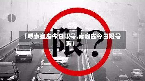 【嗯秦皇岛今日限号,秦皇岛今日限号吗】-第2张图片