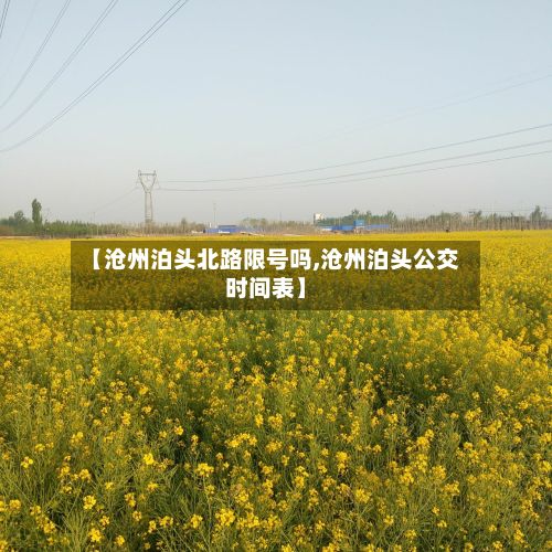 【沧州泊头北路限号吗,沧州泊头公交时间表】-第2张图片