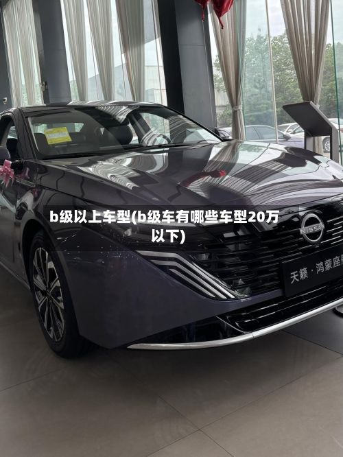 b级以上车型(b级车有哪些车型20万以下)