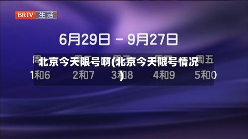 北京今天限号啊(北京今天限号情况)