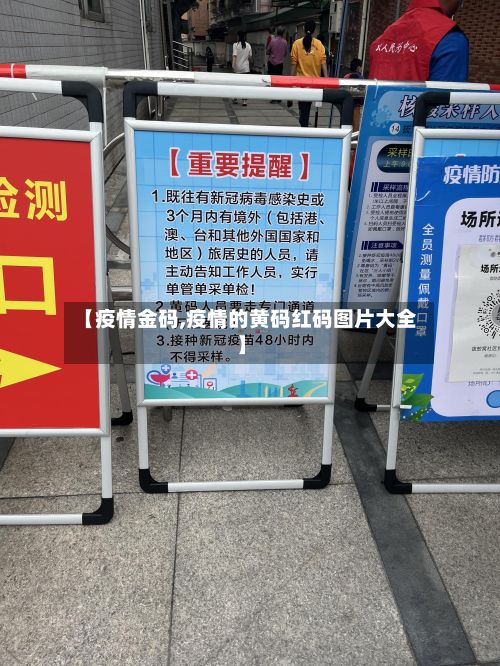 【疫情金码,疫情的黄码红码图片大全】