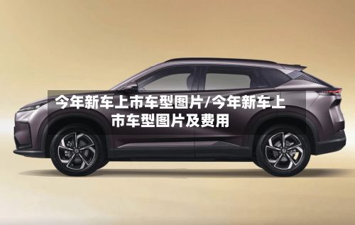 今年新车上市车型图片/今年新车上市车型图片及费用-第2张图片