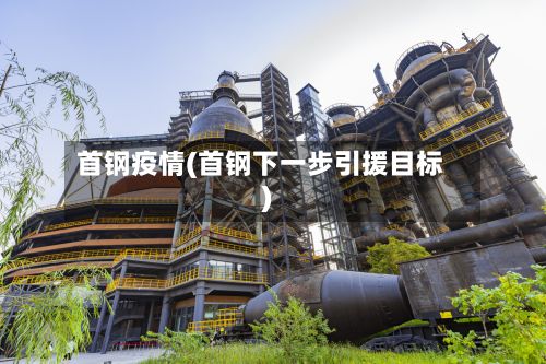 首钢疫情(首钢下一步引援目标)-第3张图片