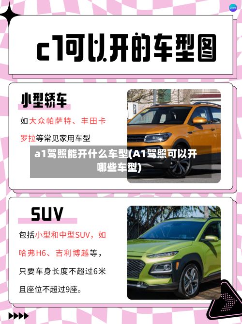 a1驾照能开什么车型(A1驾照可以开哪些车型)-第2张图片