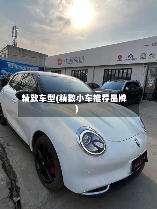 精致车型(精致小车推荐品牌)-第3张图片