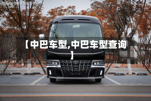 【中巴车型,中巴车型查询】