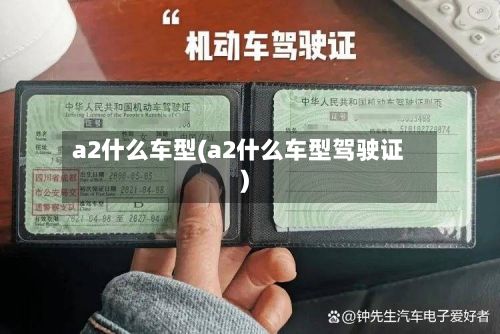 a2什么车型(a2什么车型驾驶证)