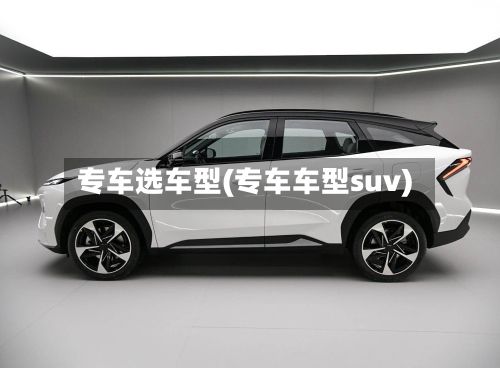 专车选车型(专车车型suv)-第2张图片