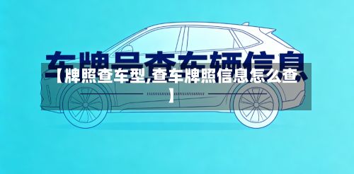 【牌照查车型,查车牌照信息怎么查】-第2张图片