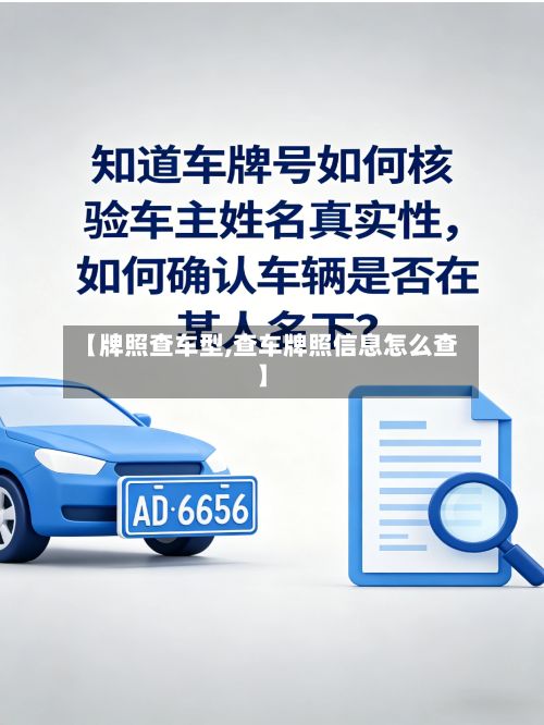 【牌照查车型,查车牌照信息怎么查】-第3张图片