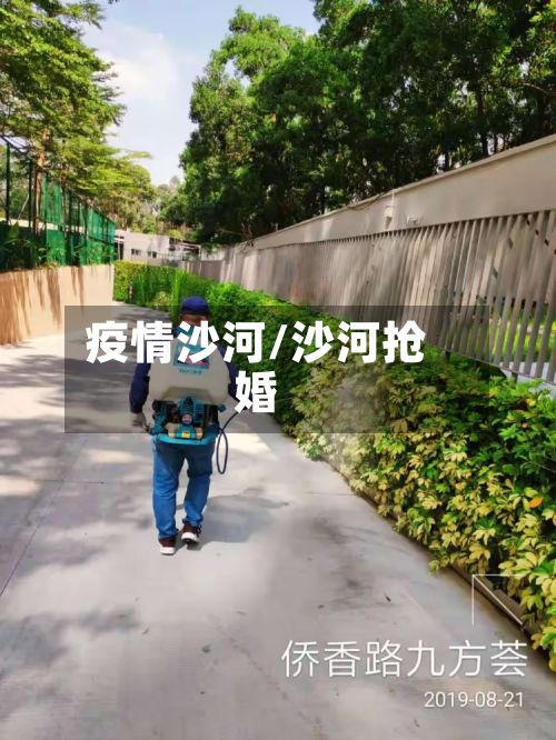 疫情沙河/沙河抢婚