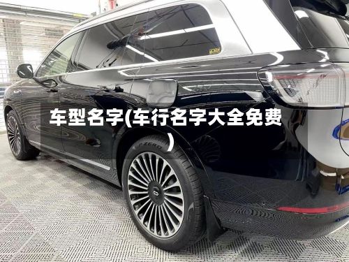 车型名字(车行名字大全免费)-第2张图片