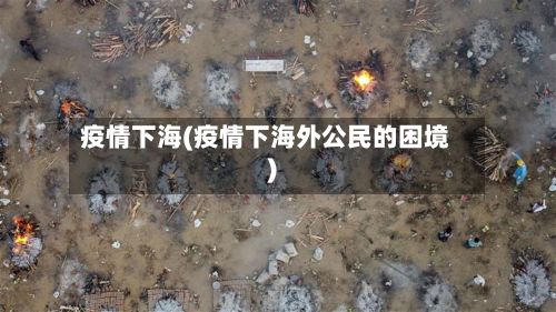 疫情下海(疫情下海外公民的困境)-第3张图片