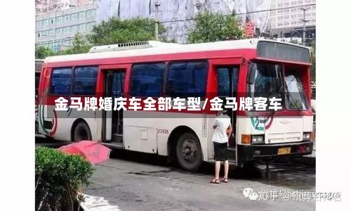 金马牌婚庆车全部车型/金马牌客车