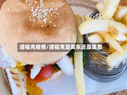 诺福克疫情/诺福克是美东还是美西