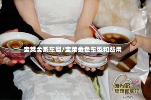 宝莱全系车型/宝莱金色车型和费用-第2张图片