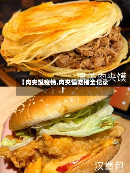 【肉夹馍疫情,肉夹馍吃播全记录】-第3张图片