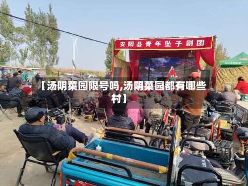【汤阴菜园限号吗,汤阴菜园都有哪些村】