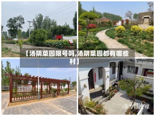 【汤阴菜园限号吗,汤阴菜园都有哪些村】-第2张图片