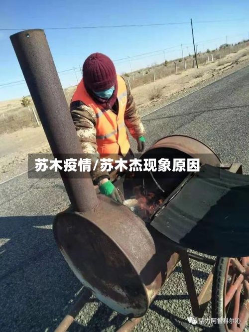 苏木疫情/苏木杰现象原因