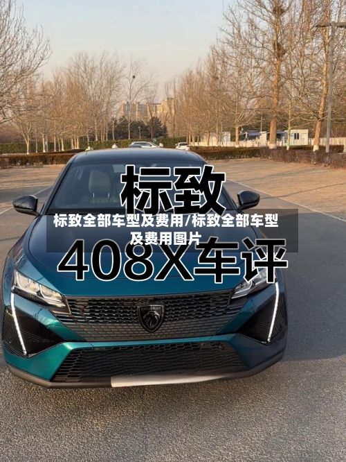 标致全部车型及费用/标致全部车型及费用图片-第3张图片