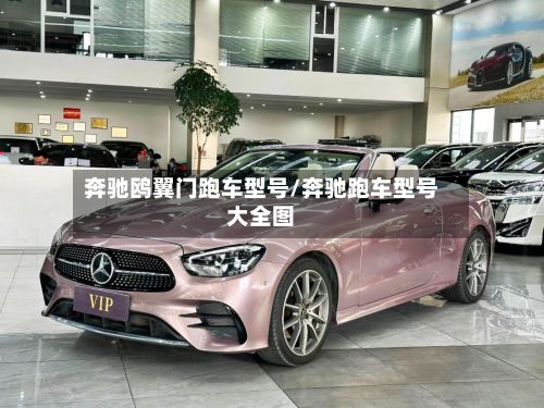 奔驰鸥翼门跑车型号/奔驰跑车型号大全图-第2张图片