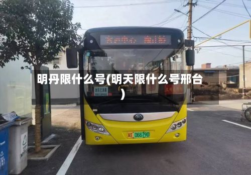 明丹限什么号(明天限什么号邢台)-第3张图片