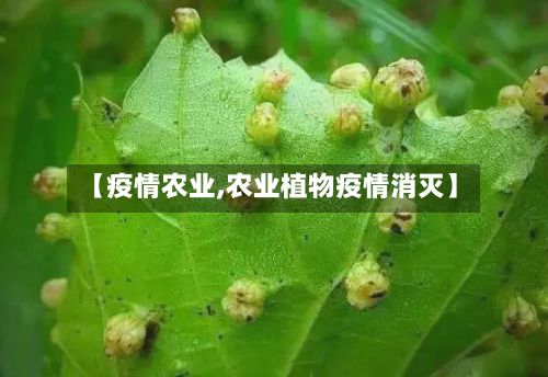 【疫情农业,农业植物疫情消灭】