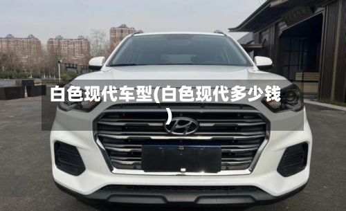 白色现代车型(白色现代多少钱)-第3张图片
