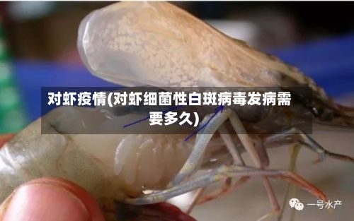 对虾疫情(对虾细菌性白斑病毒发病需要多久)-第2张图片
