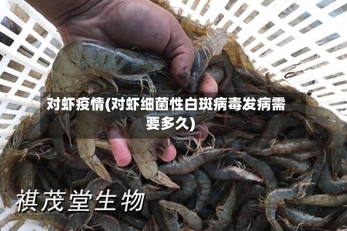 对虾疫情(对虾细菌性白斑病毒发病需要多久)