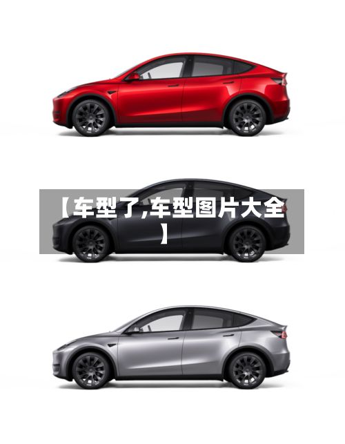 【车型了,车型图片大全】