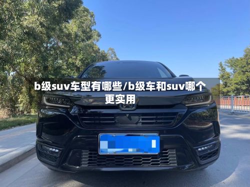 b级suv车型有哪些/b级车和suv哪个更实用-第3张图片