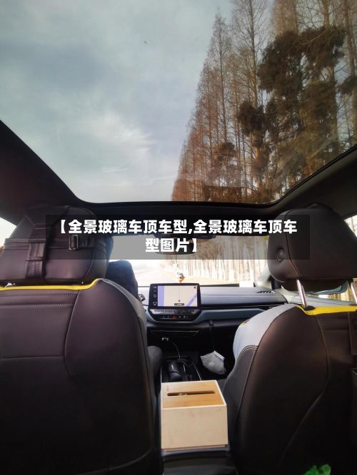 【全景玻璃车顶车型,全景玻璃车顶车型图片】-第3张图片