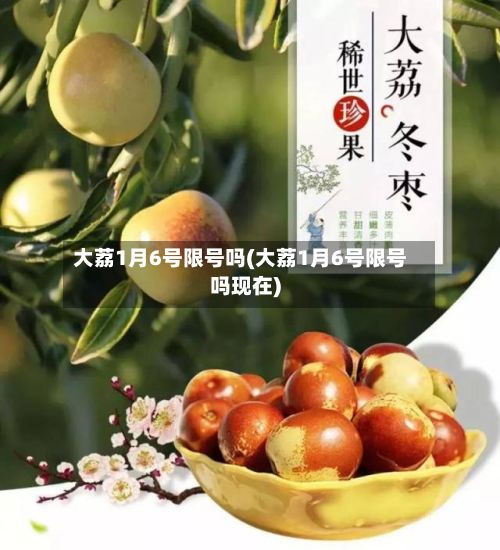 大荔1月6号限号吗(大荔1月6号限号吗现在)