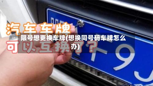 限号想更换车牌(想换同号码车牌怎么办)-第2张图片