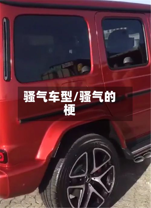 骚气车型/骚气的梗