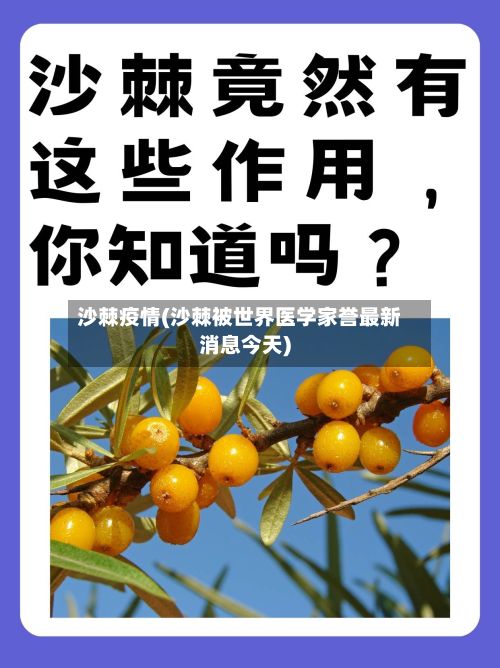 沙棘疫情(沙棘被世界医学家誉最新消息今天)-第2张图片