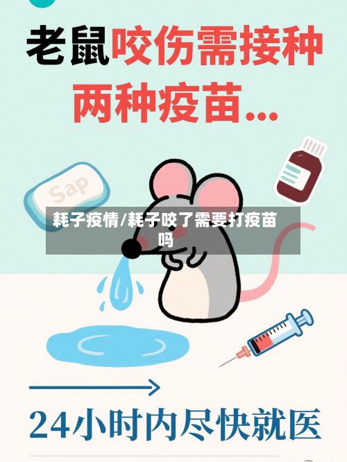 耗子疫情/耗子咬了需要打疫苗吗