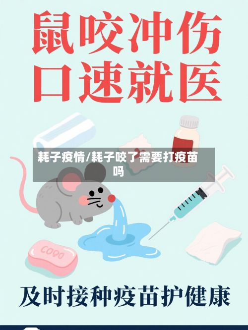 耗子疫情/耗子咬了需要打疫苗吗-第2张图片